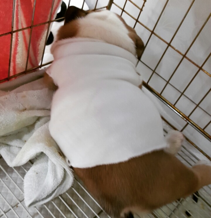 구니 이미지