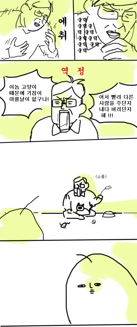 이놈의 고양이 내다버려라!!! | 인스티즈