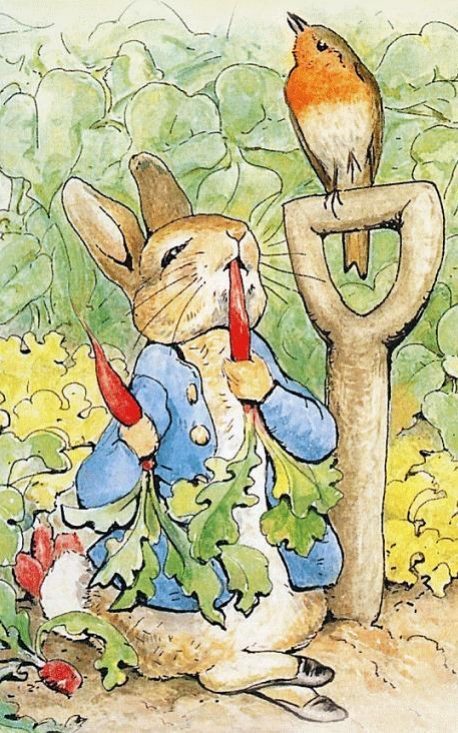 동화를 발레로 영국 로열 발레단의 ＜ tales of beatrix potter ＞ | 인스티즈