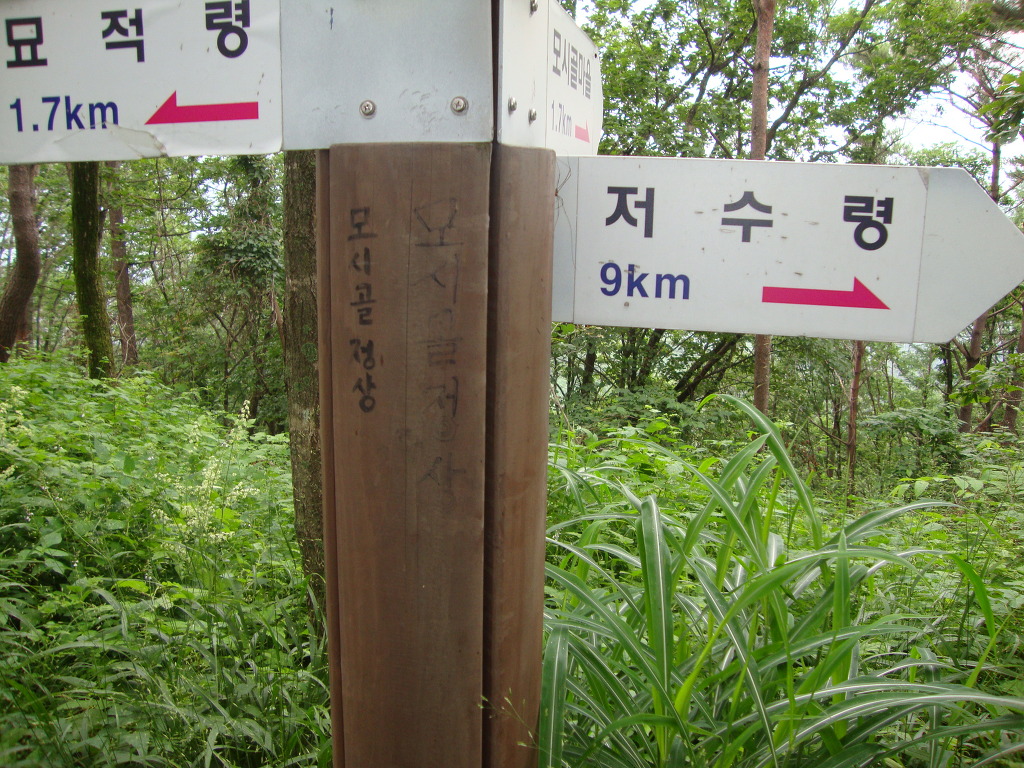 모시골 이미지