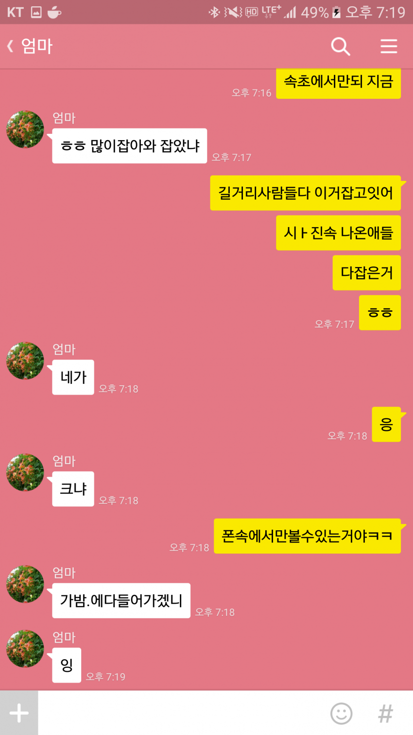 엄마가 포켓몬 많이잡아오래.jpg | 인스티즈