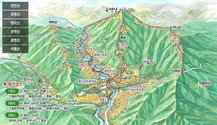 유명산 이미지
