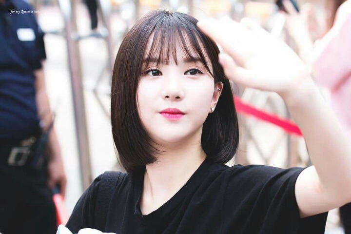 하시 이미지
