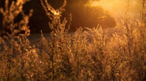 그때까지 사랑이여,내가 불멸이 아니어서 미안하다 | 인스티즈