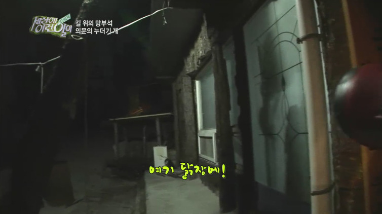 [세상에이런일이] 도로위에 망부석이 되서 주인을 기다리는 강아지.jpg | 인스티즈