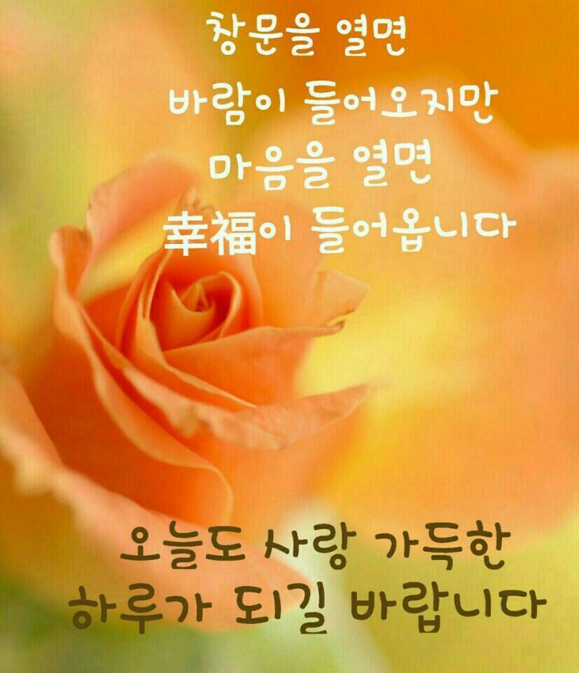 영심이 이미지