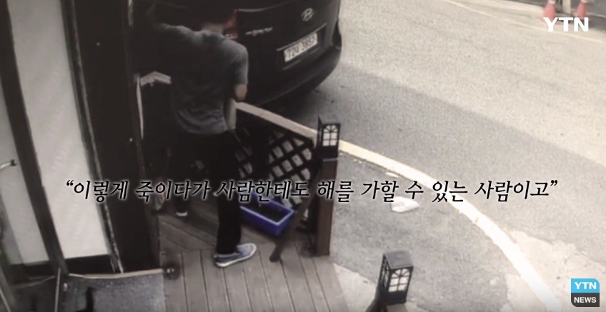 혐오,분노주의)고양이 잔혹하게 내던져 죽이고는 '웃으며 도망쳤다' | 인스티즈