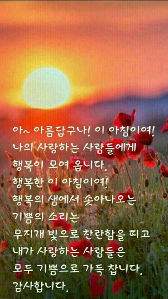 사시사철 이미지