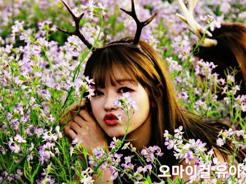 가짜 민주주의를 구별하는 방법 | 인스티즈