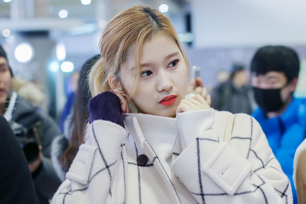 트와이스 사나 | 인스티즈