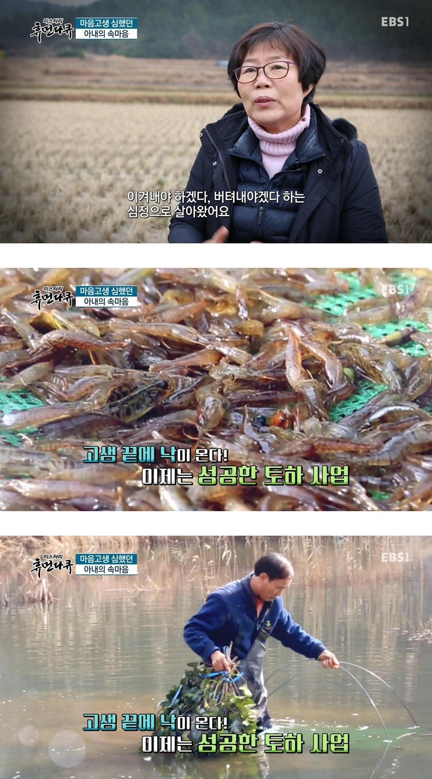 산속의 새우 사업 | 인스티즈