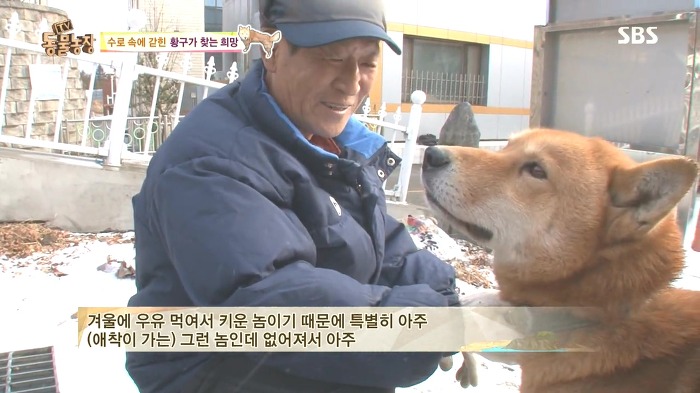 [동물농장] 수로 속에 갇힌 황구가 찾는 희망.JPG (감동주의) | 인스티즈