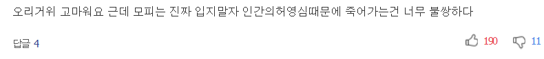 오리털 적게 든 얇은 다운점퍼도 보온력은 비슷 | 인스티즈