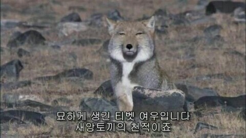 [러블리즈] 오늘자 지수사나이 | 인스티즈