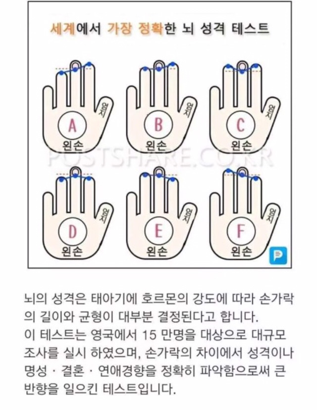 세계에서 가장정확한 뇌 성격테스트 | 인스티즈