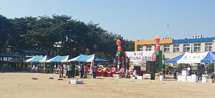 용문초등학교 이미지