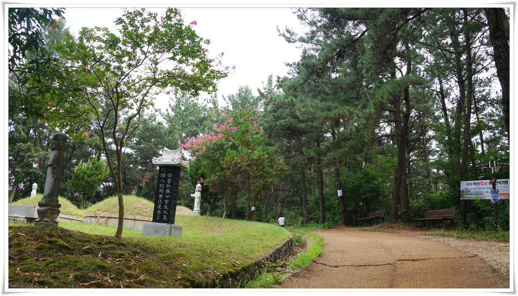 달씨 이미지