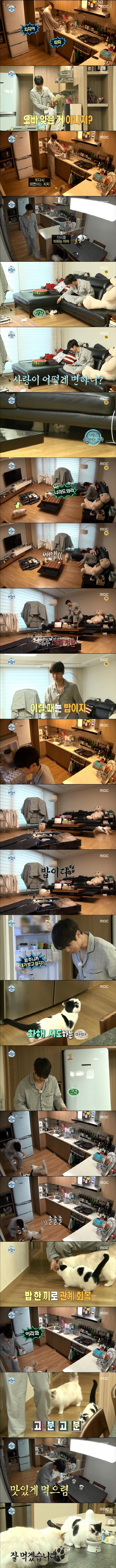 고양이 키우는 사람 ㅇㄱㄹㅇ | 인스티즈