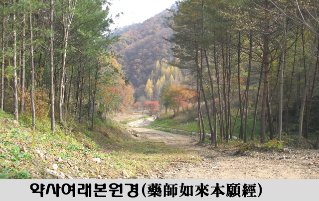외도하나의원 이미지
