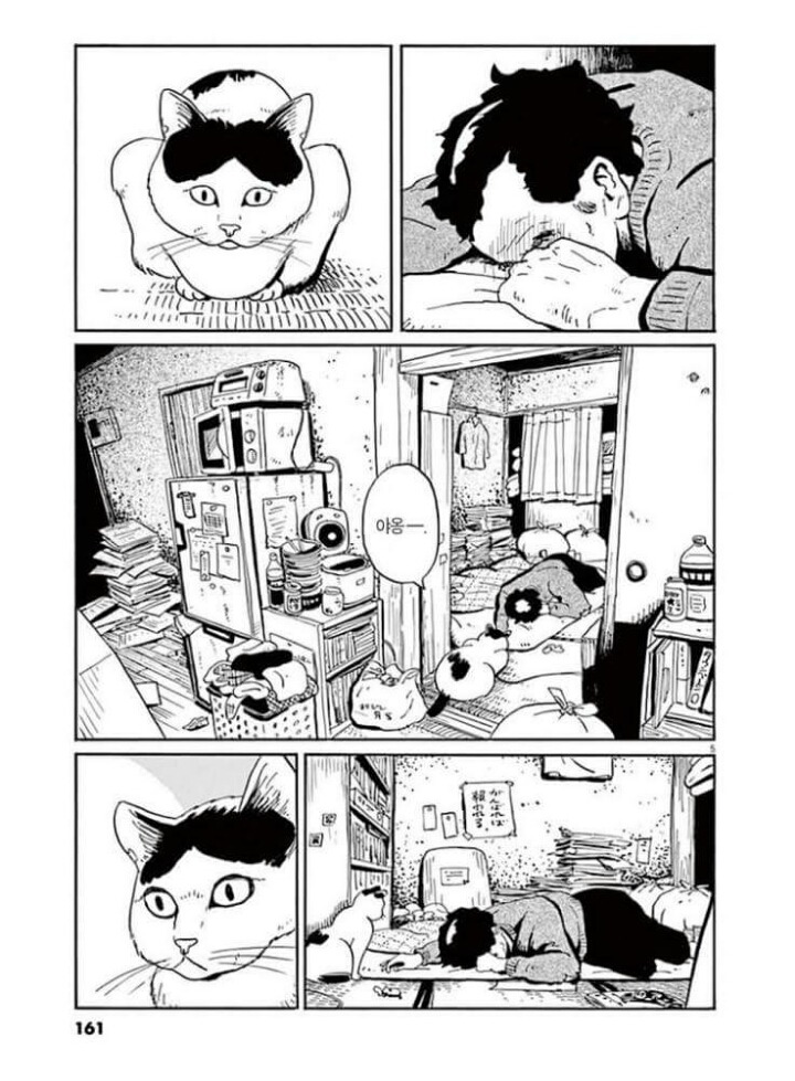 고양이 분짱(슬픔주의) | 인스티즈