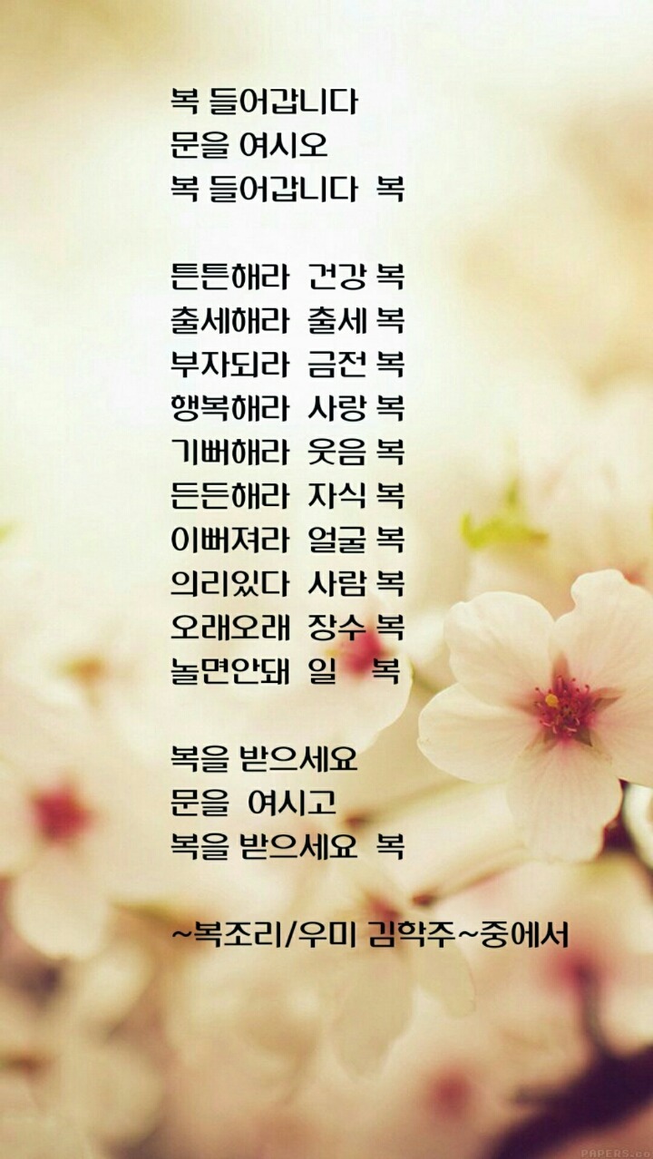 마니 이미지