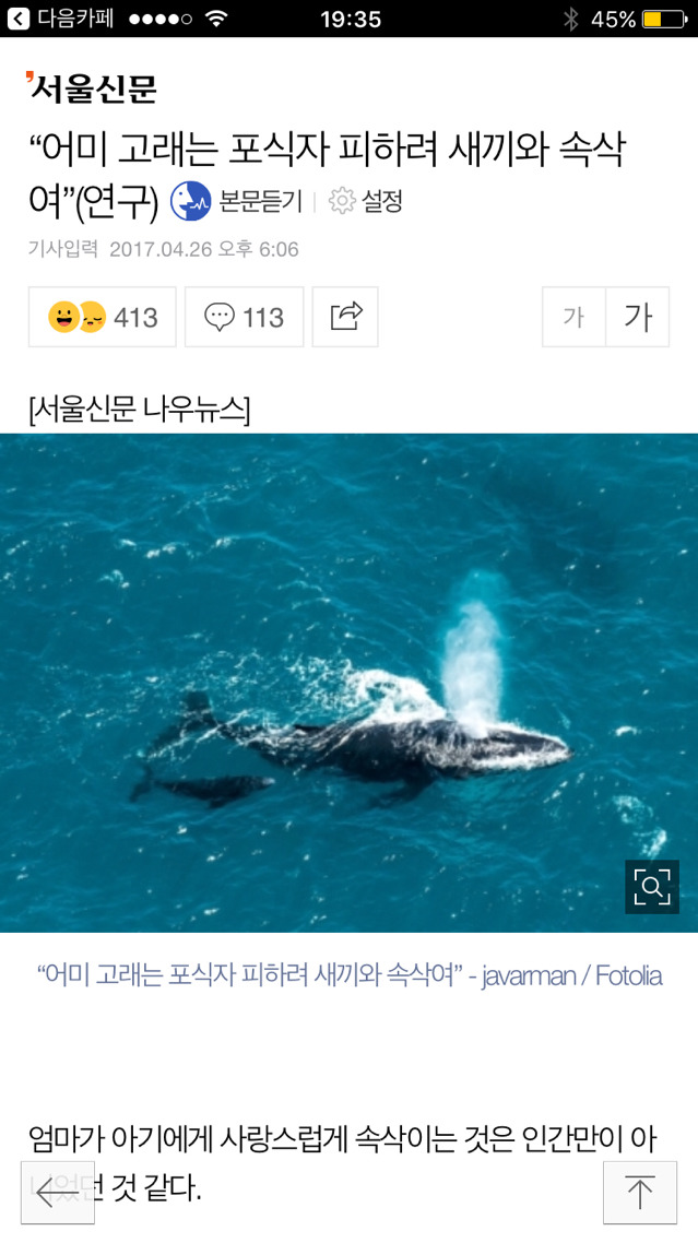 어미 고래는 포식자 피하려 새끼와 속삭여 (연구) | 인스티즈