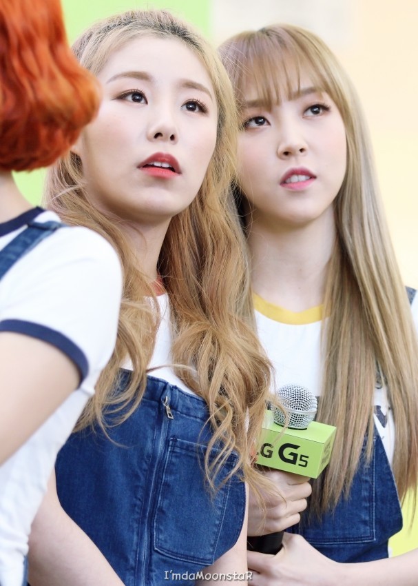 지빠 이미지