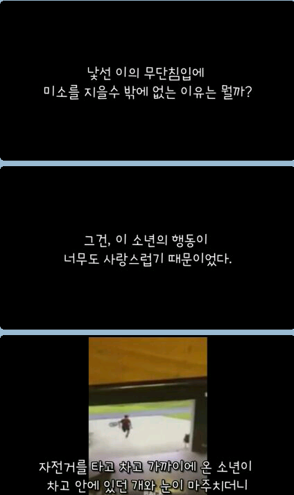 귀여운 무단침입자 | 인스티즈