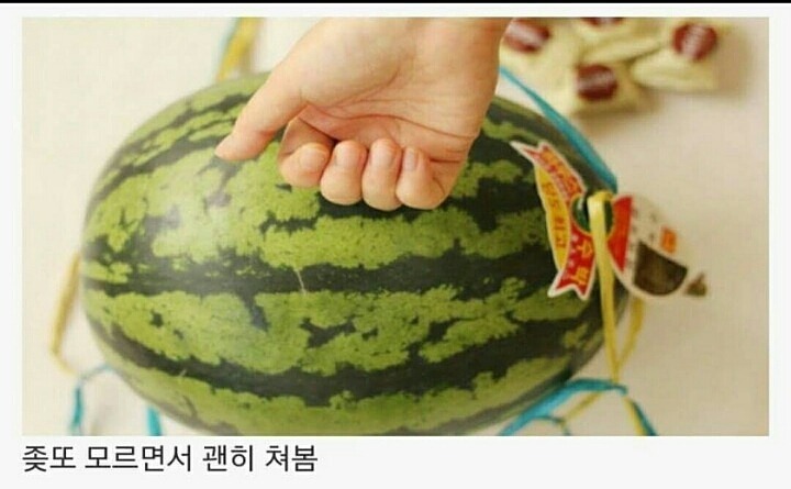 수박 살 때 공감.jpg | 인스티즈