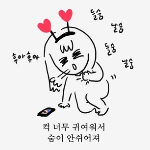 우리집 고양이를 토끼로 바꾸는법 (파워생정) | 인스티즈