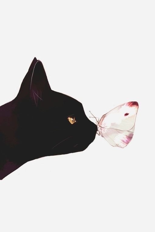 준당 이미지