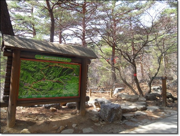(주)금강송 이미지