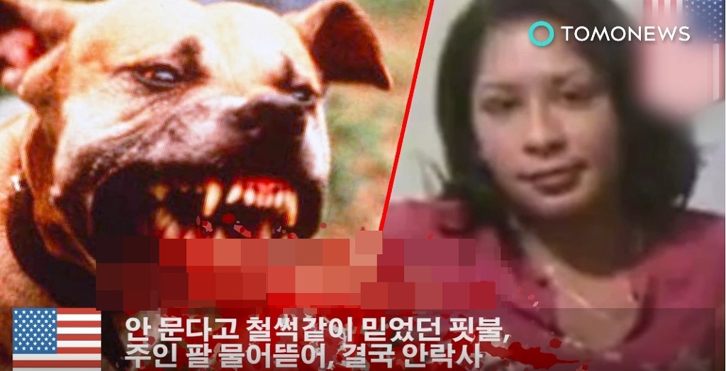주인클린 이미지