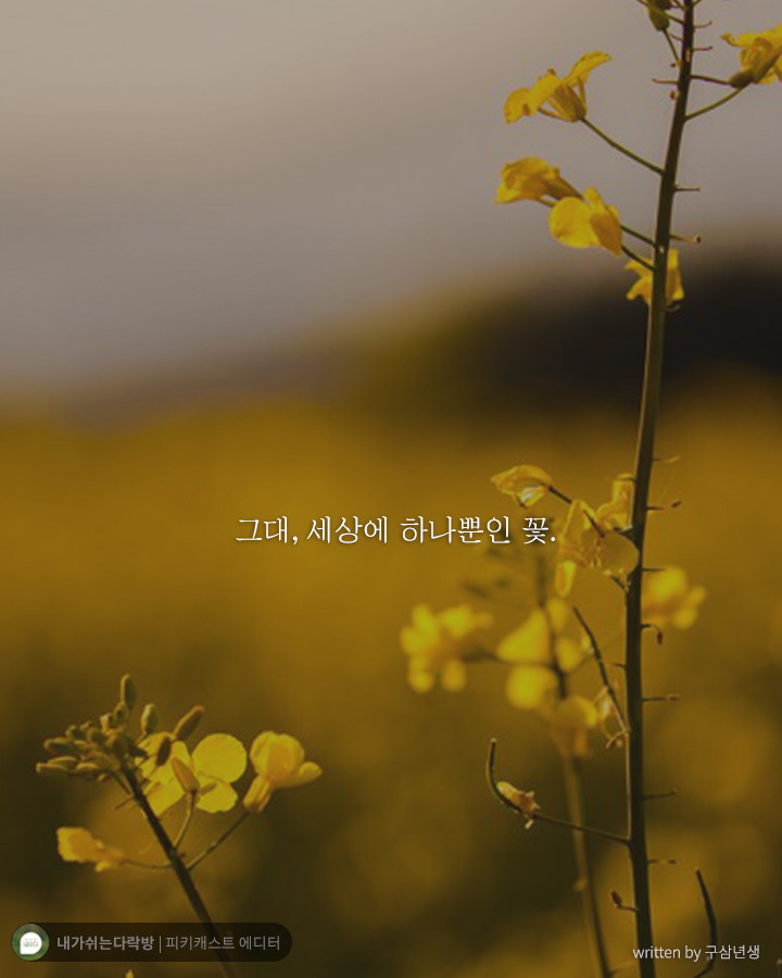  그런 작은 일에 흔들릴 네가 아니다 | 인스티즈