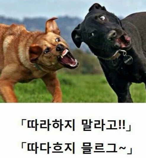 제목학원 레전드 모음집.mak | 인스티즈
