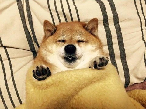 별이 이미지