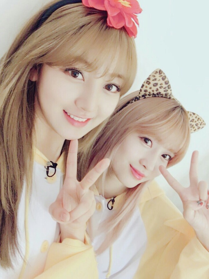 지효 × 트와이스 케미 | 인스티즈