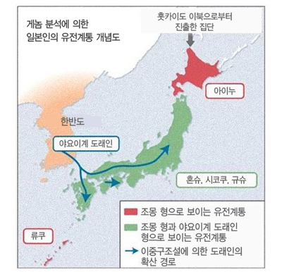 일본인 유전자 지도에 담긴 역사 | 인스티즈