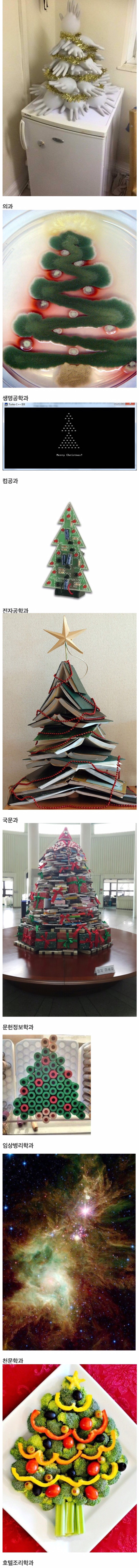 대학 학과별 트리.jpg | 인스티즈