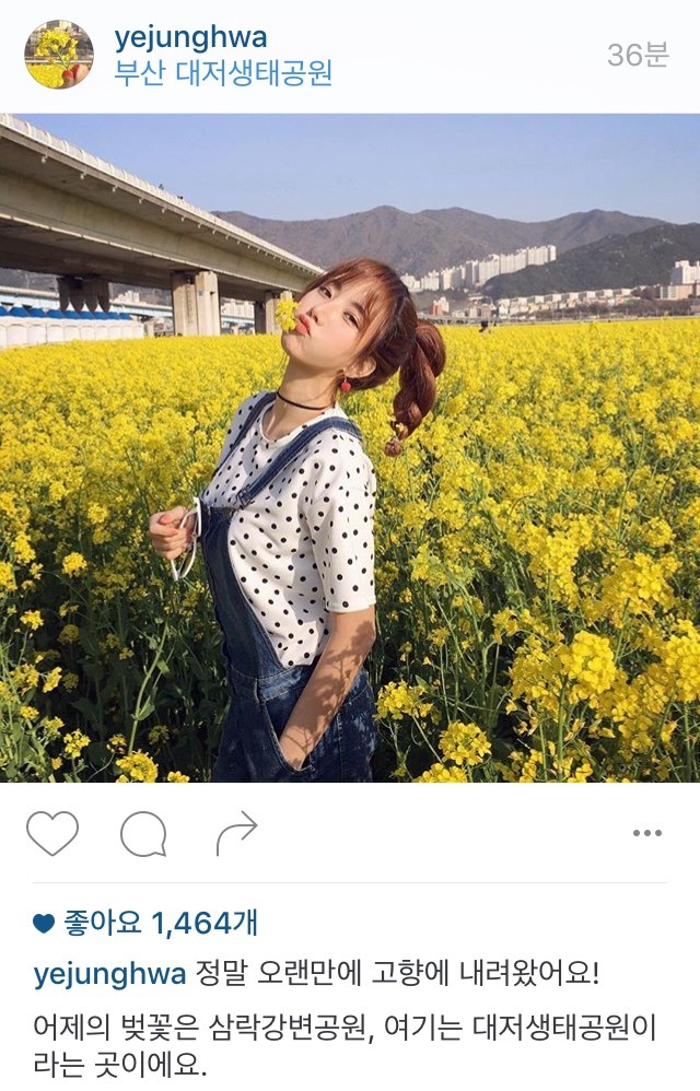 예정화 인스타 | 인스티즈