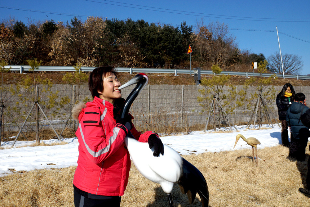 모이 이미지