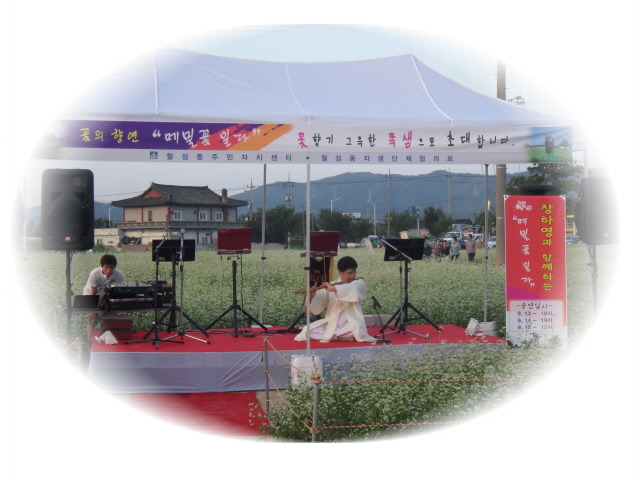 꽃일다 이미지