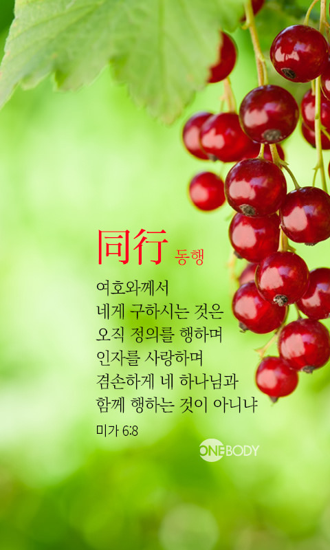 성경속의 사랑구절 . jpg | 인스티즈