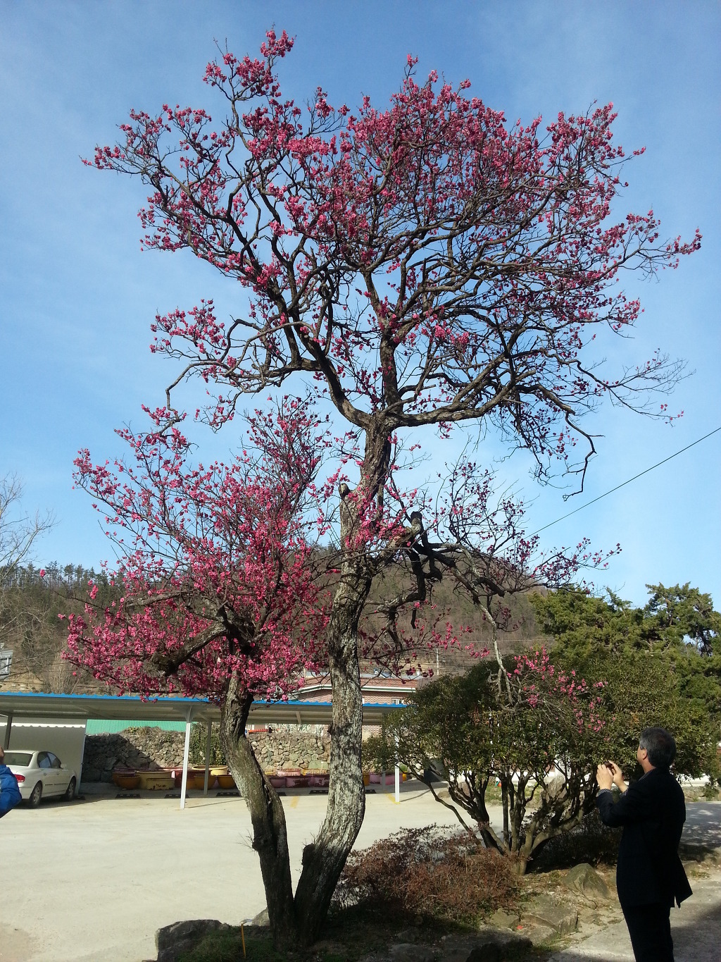 고성초등학교 이미지