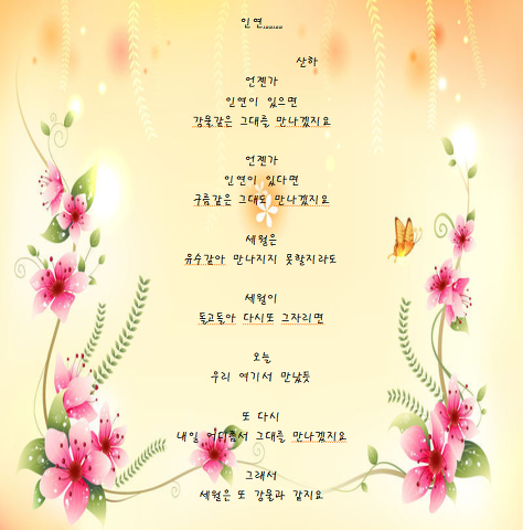 솔사랑 이미지