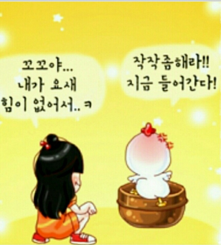 꼬꼬닭이네 이미지