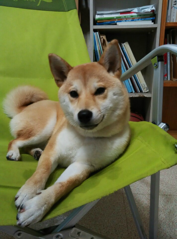홍실 이미지