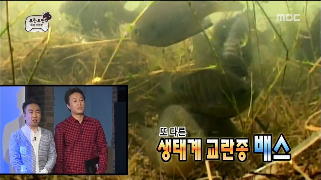보고싶은 무한도전 특집.jpg | 인스티즈