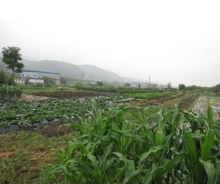 양산IC(통도사) 이미지