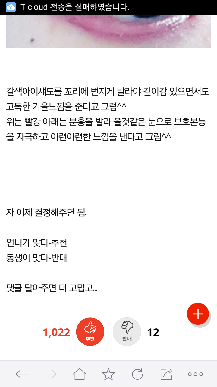 동생 화장 이상한거 맞지? | 인스티즈